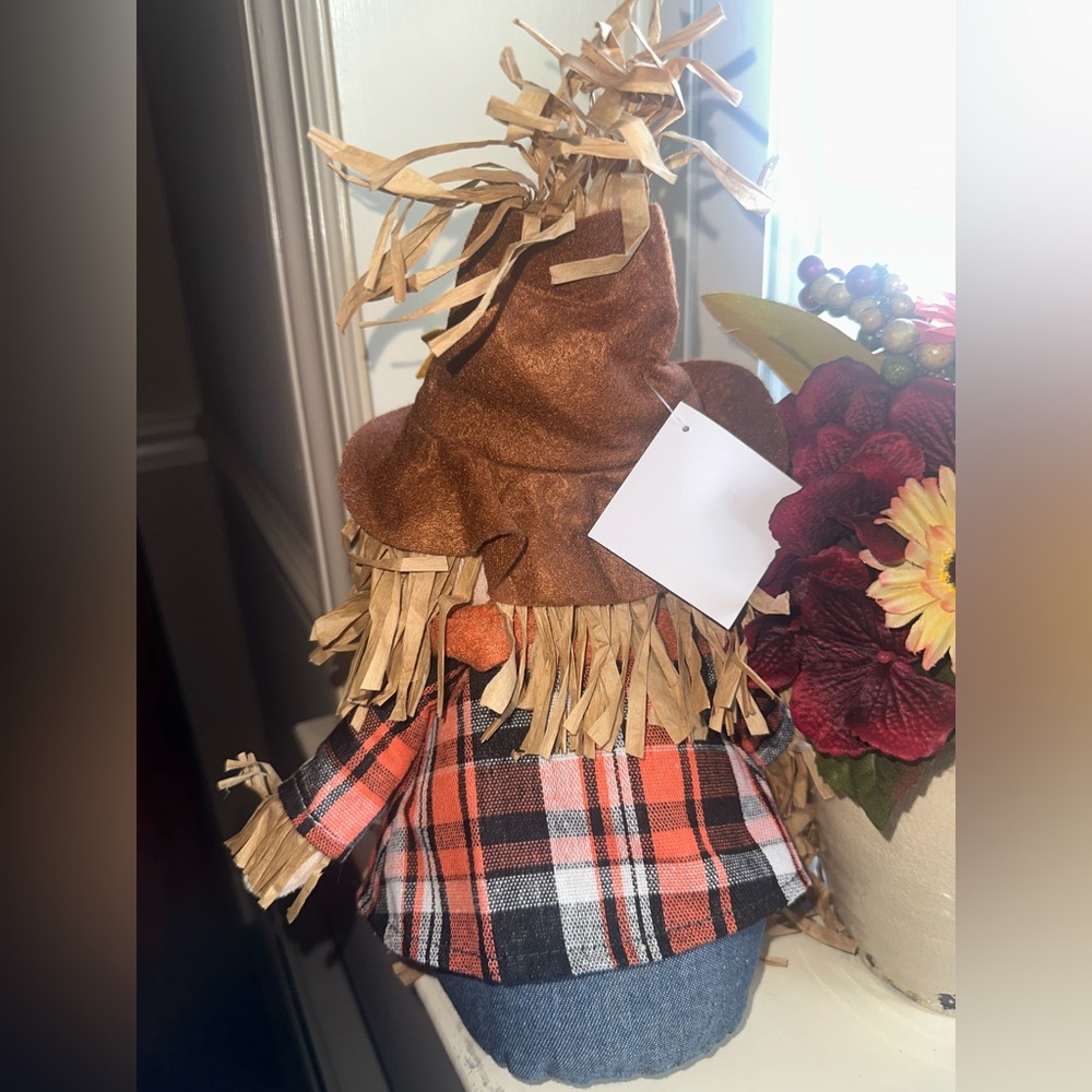 Charming Autumn Scarecrow with corn - NWT - Picture 3 of 6
